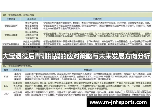 大宝退役后青训挑战的应对策略与未来发展方向分析
